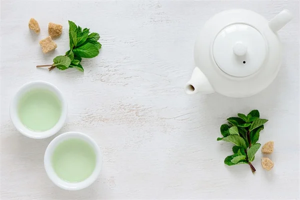 How to Test a Plant's Edibility in 24 Hours – The Universal Edibility Test