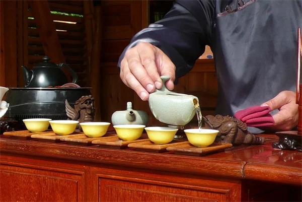 How to Test a Plant's Edibility in 24 Hours – The Universal Edibility Test