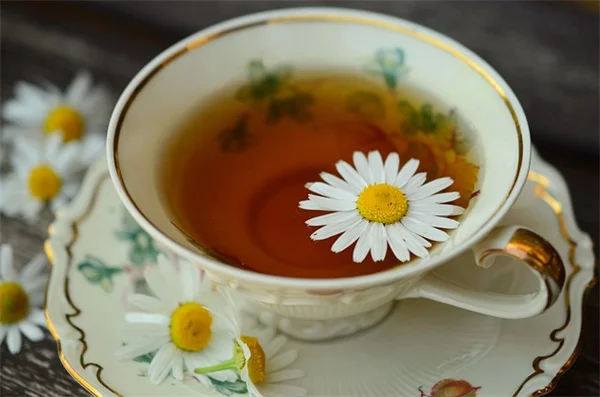Cooling vs Warming Herbs: How to Choose the Right One