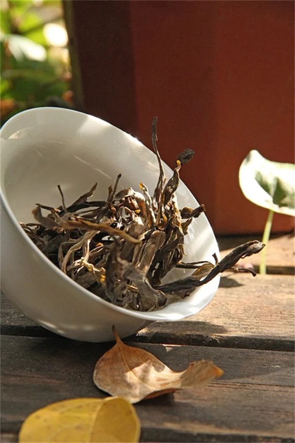 How to Make Your Own Potting Mix for Outdoor Containers and Cut Costs by 40%